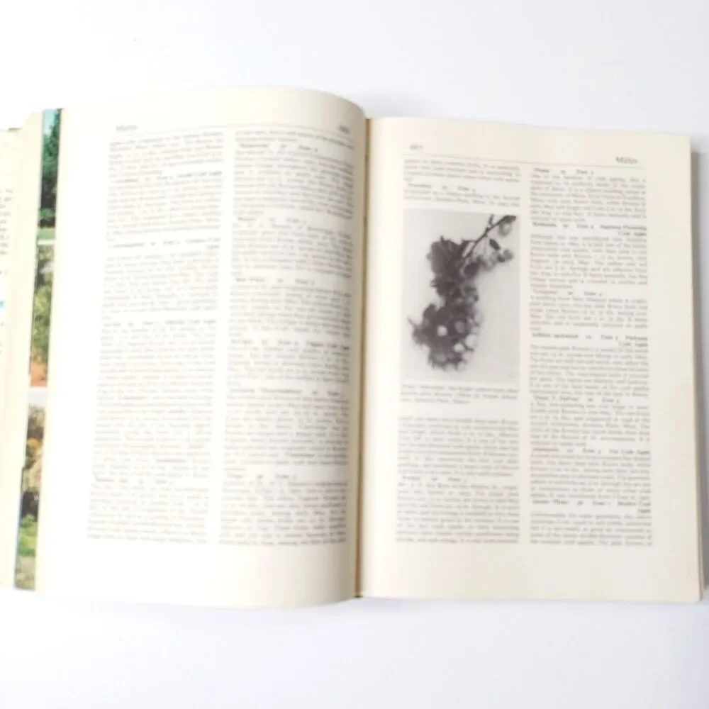 Wyman's Gardening Encyclopedia by Donald Wyman 1971 1st printing w/Dust Jacket